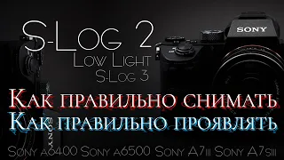 Как СНИМАТЬ и ПРОЯВИТЬ видео в SLog2 и SLog3 | СЪЕМКА в Low Light SLog-2. Проявка в DaVinci, Primer