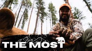 The Most - A Backcountry Black Bear Hunt