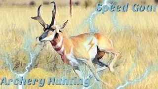Archery Hunting Antelope (tactics)