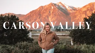 My Solo Trip to Carson Valley, Nevada | Wild Horses + Mountain Flying