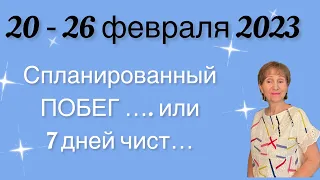 🔴 20 - 26 февраля 2023 🔴 Спланированный … побег или 7 дней чист….от Розанна Княжанская