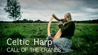 Ruf der Kraniche - LIVE - celtic harp - Claudia Kuhn - 432 Hz