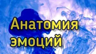 [Аудиокнига] Дэвид Хокинс - Отпуская дискомфортные чувства: путь принятия. Анатомия эмоций.