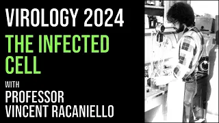 Virology Lectures 2024 #11: The infected cell