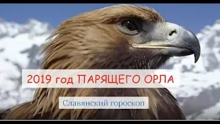 Гороскоп на 2019 по славянскому календарю. Новый  год  Парящего Орла