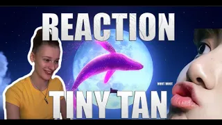 {REACTION} THEY ARE TOOOOO CUTE!!! [TinyTAN | ANIMATION] - Dream ON