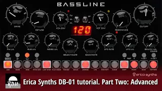 Erica Synths DB-01 tutorial - Part 2: Advanced