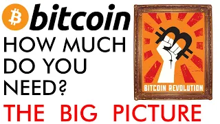 How Much Bitcoin Do You Need? The Big Price Picture [2020]