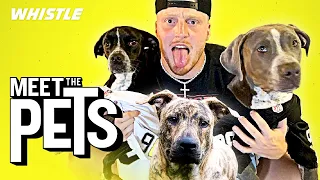 Raiders DE Maxx Crosby Is The BIGGEST Dog Lover In Football!