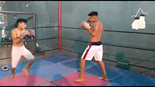 pelea de box venezolana Guanare edo Portuguesa