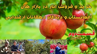 Afghanistan pomegranate @ kandahar  خرید و فروش انار در بازارهای افغانستان و دیدگاه دهقانان ارغندابی