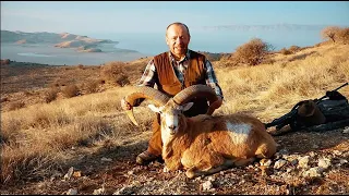 Охота на армянского муфлона. Экспедиция Александра Егорова в Иран