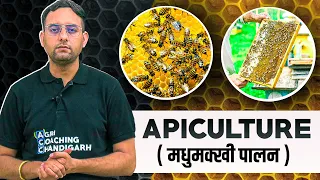 Apiculture | Honeybee Farming | Bee Keeping