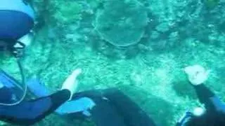 Scuba Diving in Komodo