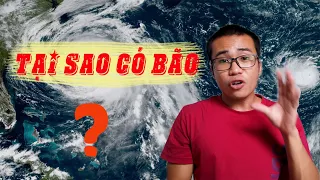 Tại sao bão hình thành? Áp thấp nhiệt đới là gì? Tại sao bão thường chỉ vào miền Trung và miền Bắc?