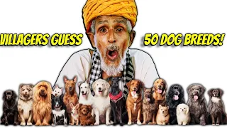 Villagers React to 50 Dog Breeds for the First Time! Hilarious Results! Tribal People Try