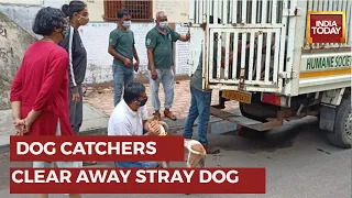 Dog Catchers Nab Stray Dogs After Horrific Death Of 7-Month-Old Infant At Lotus Boulevard Society