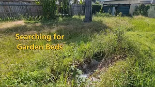 Rescuing the Garden: Mowing the Overgrown Backyard