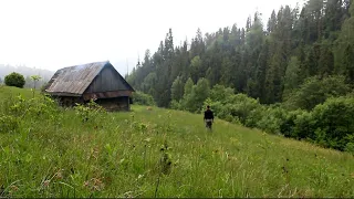 A mountain cabin in a wild forest far in the mountains. Bushcraft shelter. [ episode 2 ]