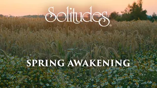 Dan Gibson’s Solitudes - Evening Calm | Spring Awakening