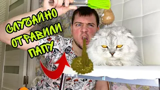 ОТРАВИЛИ ПАПУ СКВИШ-ЕДОЙ! ПРАНК ЕДОЙ ОТ КОТОВ