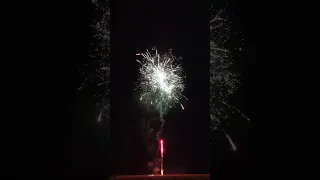 CORONA KILLER 318 shot Monster firework 👌🎇