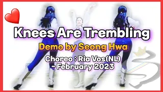 Knees Are Trembling-Line Dance(Beginner)