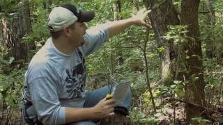 How To Create A Mock Scrape For Deer Hunting