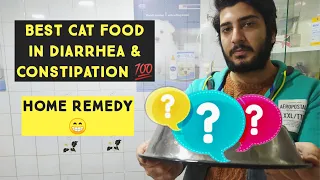 Best Cat Food For Diarrhea | Homemade Cat food for Cat's & Kittens in Diarrhea & Constipation