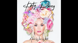 Katy Perry Never Worn White (Audio)