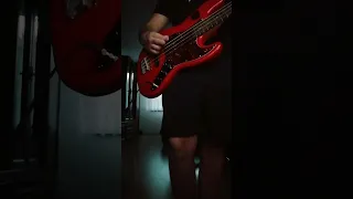 Slovak band mam prečo še ja trapic cover bass