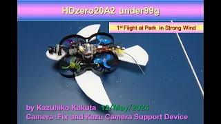 翼を持ったクアドコプターHDzero20A2 64.5g ：1st Flight at Park in Strong Wind