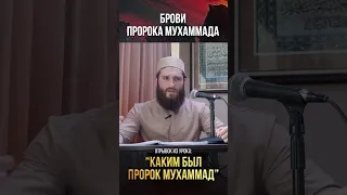 Брови Пророка Мухаммада