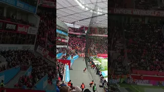 Bayer Leverkusen gegen Union Berlin 5:0