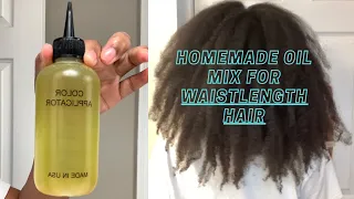 Homemade Oil Mix for Waist Length Hair!! // Super Detailed // Brittany Rose