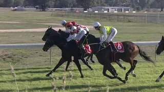 Holbrook 13 04 2024 Race 5