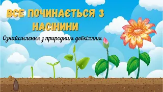 Все починається з насінини 🌱Як рослина розвивається🪴 Ознайомлення з природним довкіллям✨