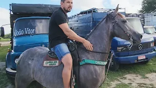 FEIRA DE CAVALOS EM CACHOEIRINHA-PE   23-05-2024  #nordeste