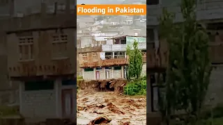 Flooding in Pakistan #floodinpakistan2022 #flood #floods #flood2022 #floodstatus2022 #shorts