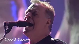 Pink Floyd - Coming Back to Life (Legendado)