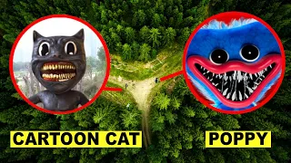 DROHNE überwacht CARTOON CAT vs. HUGGY WUGGY von POPPY PLAYTIME um 3 UHR Mittags!! | KAMBERG TV