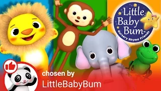 Animals Curated Playlist Intro! | Nursery Rhymes | By Learn with Little Baby Bum