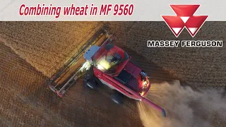 Combing with a Massey Ferguson 9560