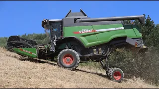 Fendt 5275 C SL [Az. Agr. F.lli Ranalli] -Trebbiatura frumento 2022-