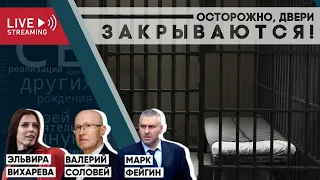 Осторожно, двери закрываются! Беседа с Марком Фейгиным и Валерием Соловьем