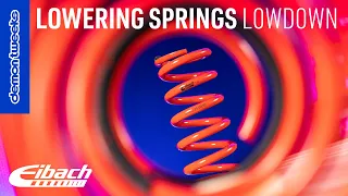 Lowering Springs! Everything You Need to Know | Eibach x Demon Tweeks