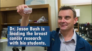 Fresno State professor gets funding for breast cancer research