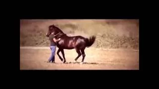 MI CABALLO EL CANTADOR ANTONIO AGUILAR