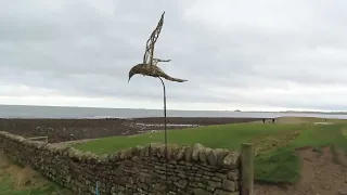 England Coast Path, Holy Island, Wed 13 Mar 24.