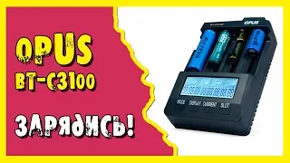 Универсальное зарядное устройство OPUS BT-C3100.